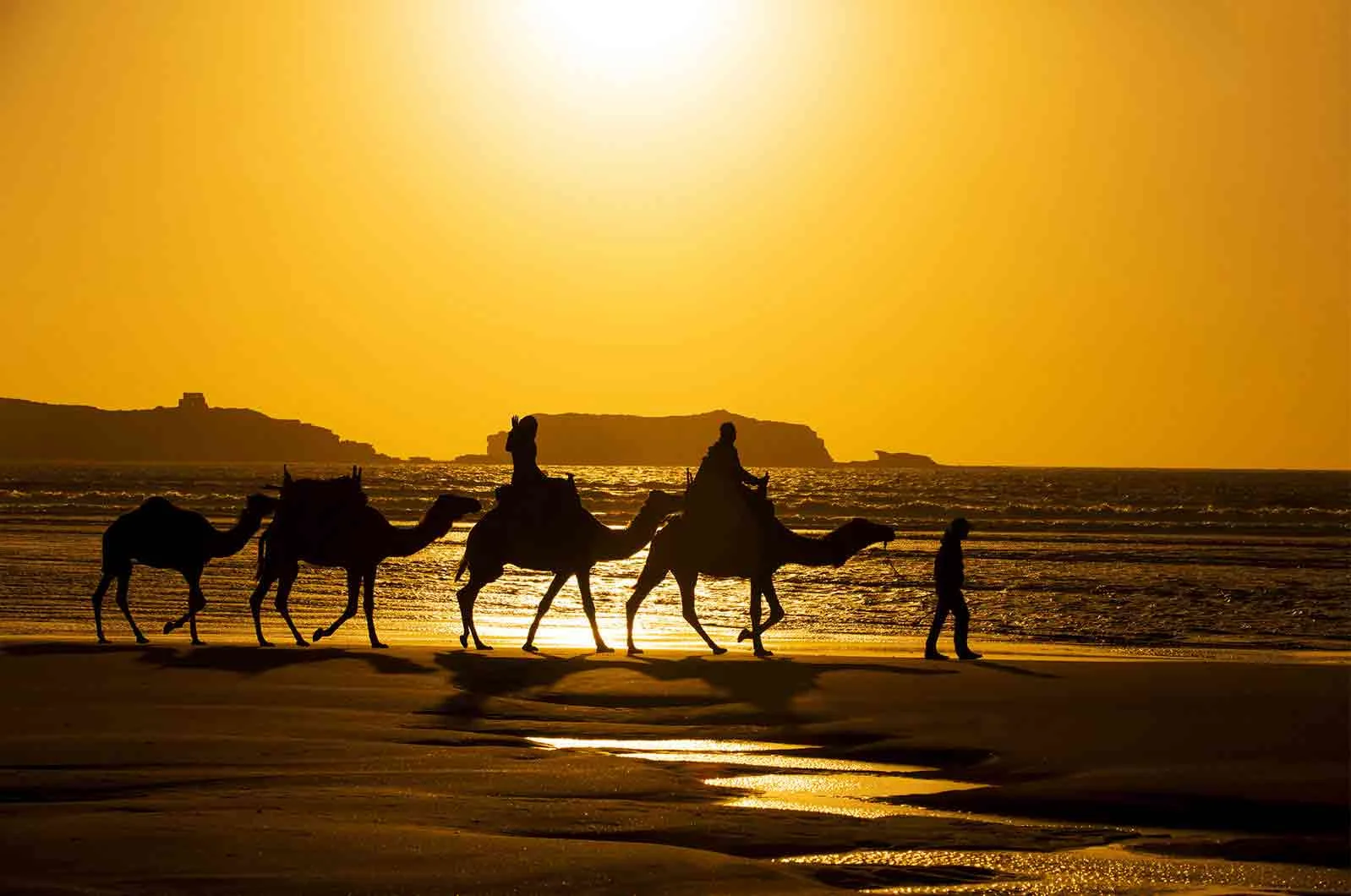 Three men, two of riding camels and one walking on the beach. Concept of Arabic language, culture and speakers.