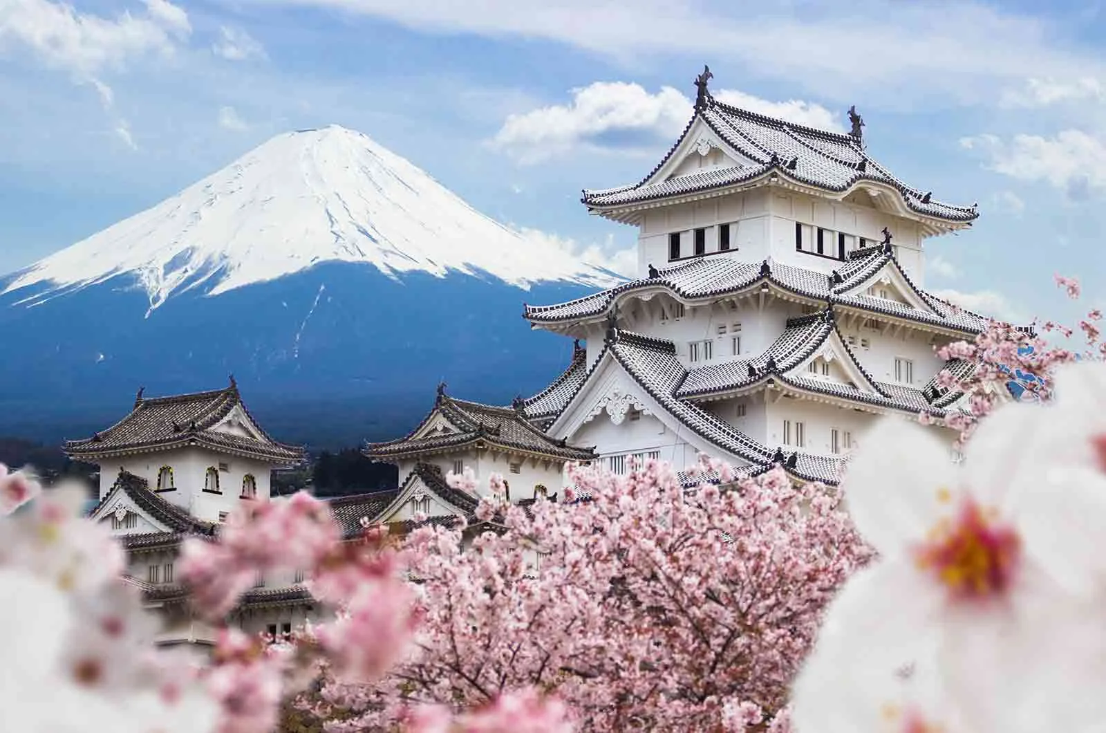Beautiful view of Himeji Castle among the white mountains in Japan. Concept of Japanese translation service.