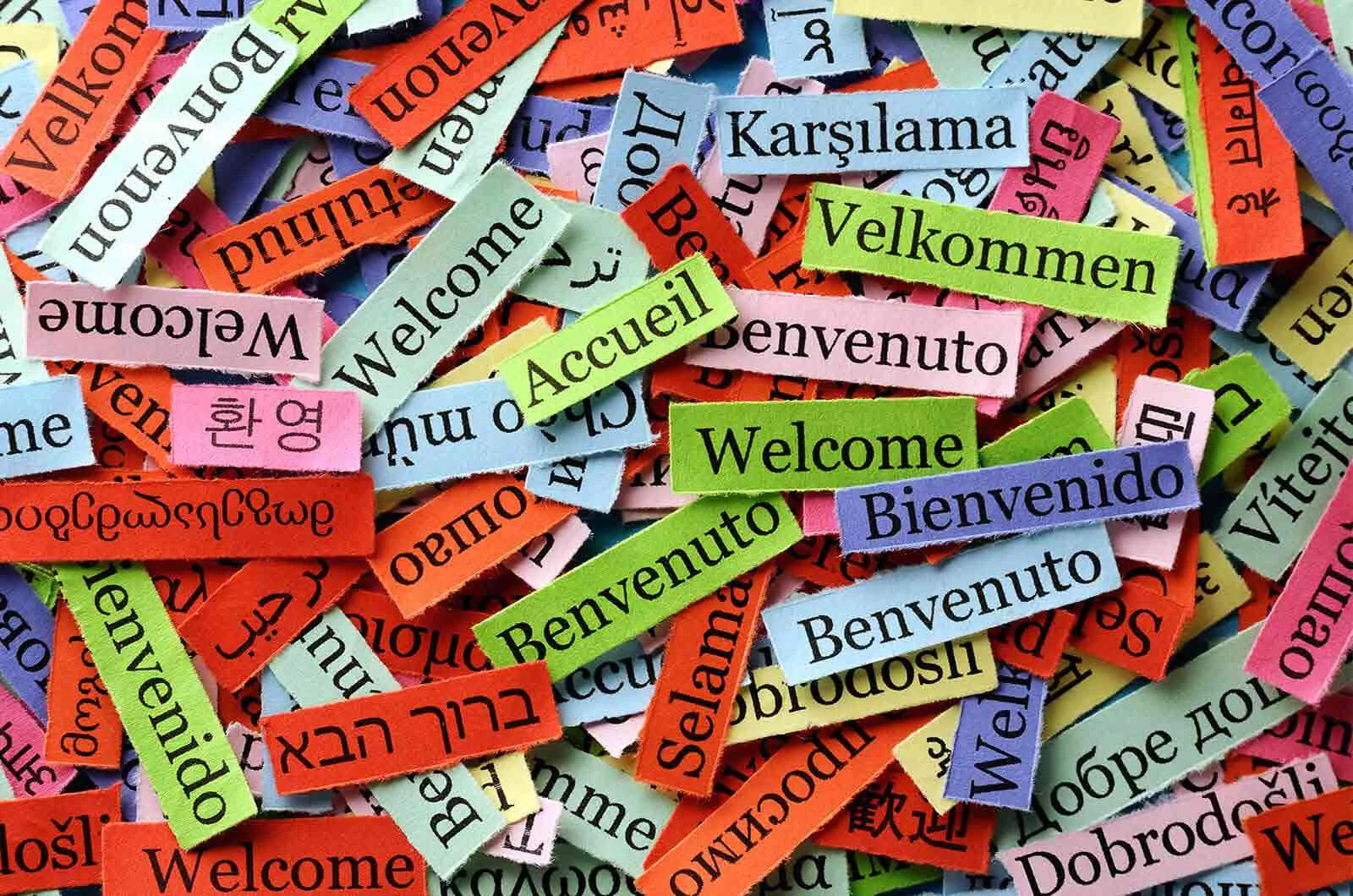 The word “welcome” written in different languages on small coloured scraps.