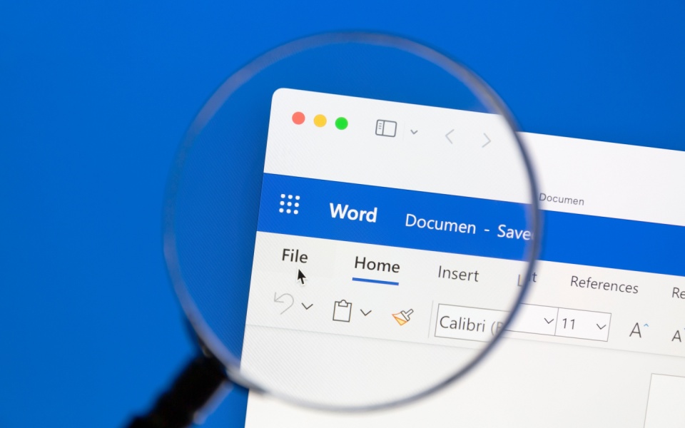 closeup of Microsoft word document for translation.
