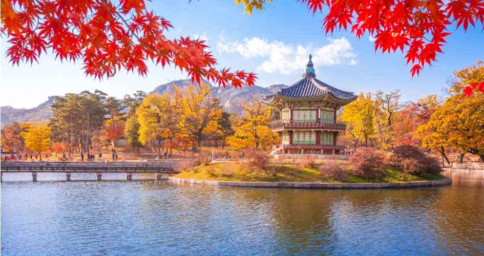 A view of Gyeongbokgung palace in Seoul, South Korea, with Maple leaves and a blue sky. Concept of English Korean translation by professional Korean translators.